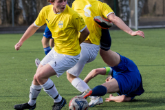 Ljungbacken