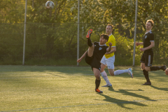 Ljungbackens BK