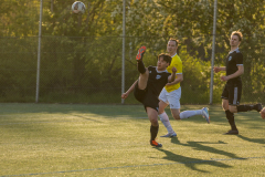 Ljungbackens BK