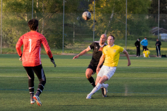 Ljungbackens BK