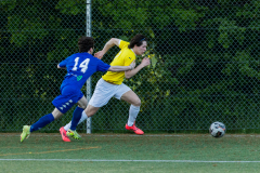 Ljungbacken-vs-Azzurri_040